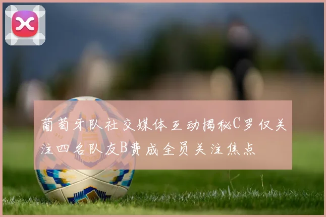 葡萄牙队社交媒体互动揭秘C罗仅关注四名队友B费成全员关注焦点